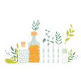Plants
